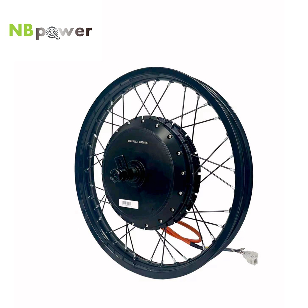 Qs Motor 273 8000W Hub Motor - Motor de Cubo Traseiro NBpower/170mm Dropout